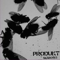 PRODUKT "Słabości" LP